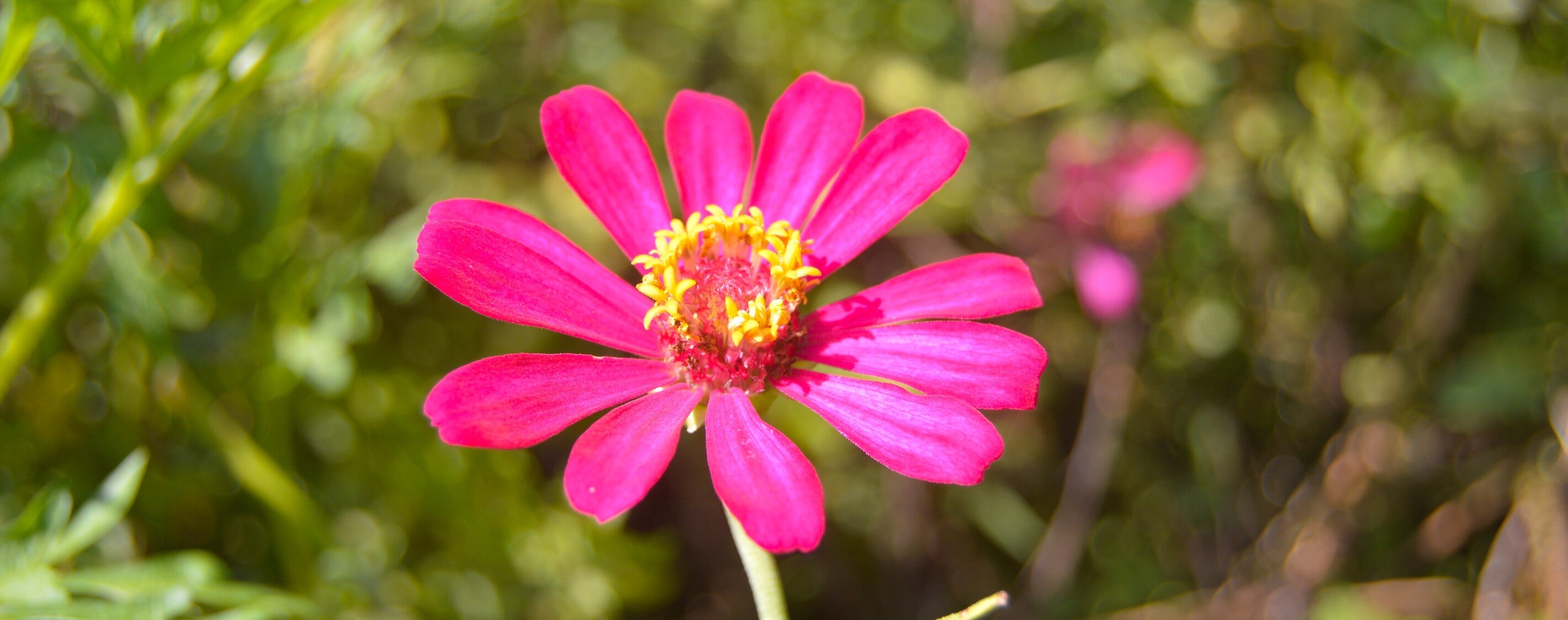 Embracing Resilience Through Tenderness and Care
