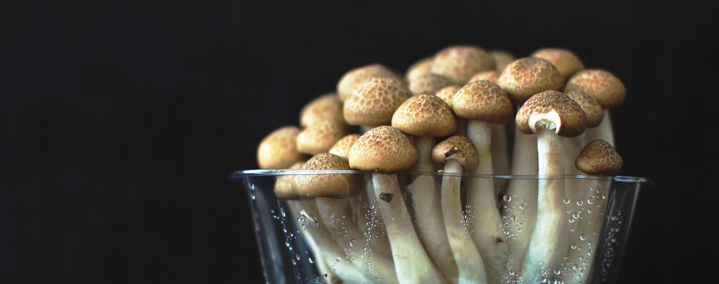 How to Boost Your Immune System with 7 Foods & Home Remedies