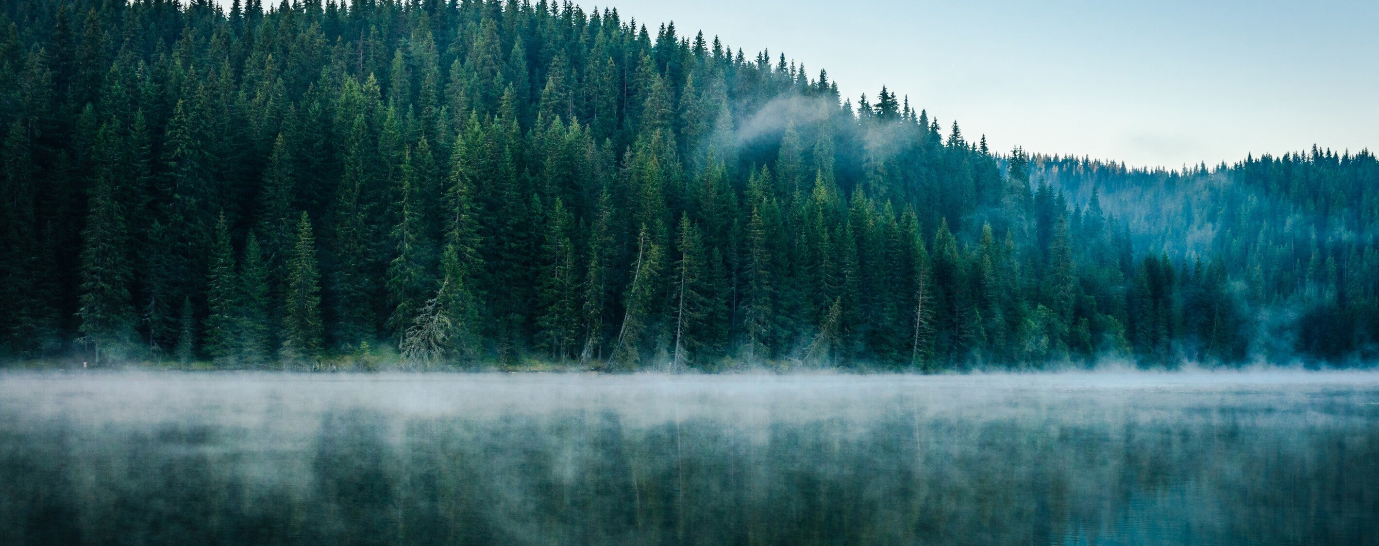 Spiritual Luminaries: Ram Dass