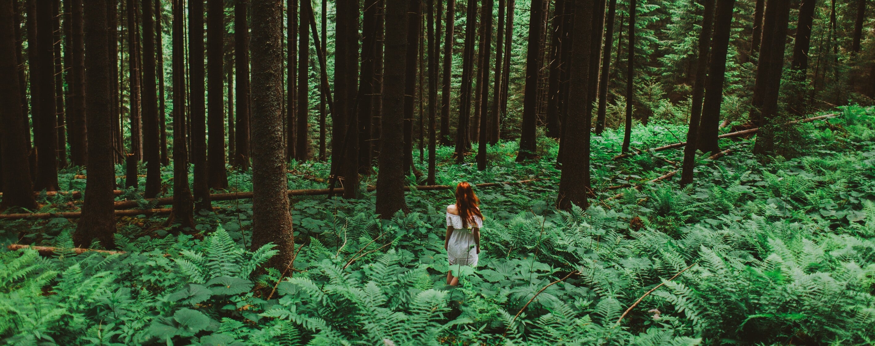 The Great Feminine Trinity: Archetypes and Mantras for Awakening the Divine Power Within You