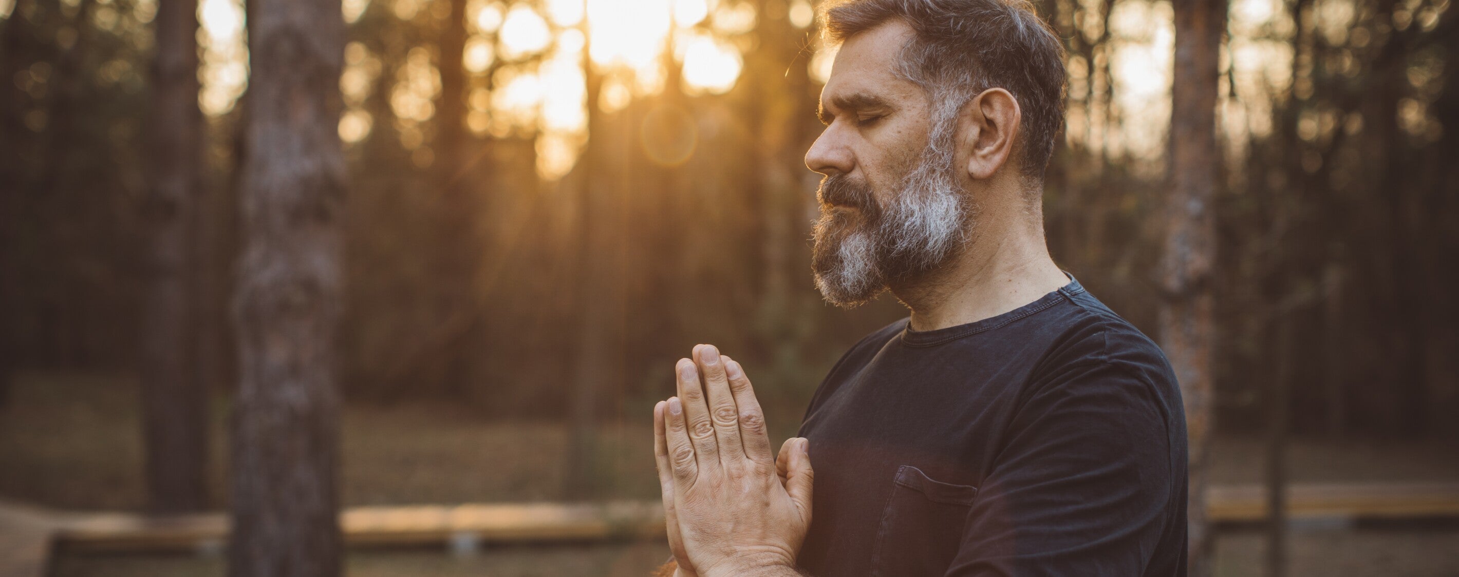 The Immeasurable Value of Meditation for Coping During the COVID-19 Crisis